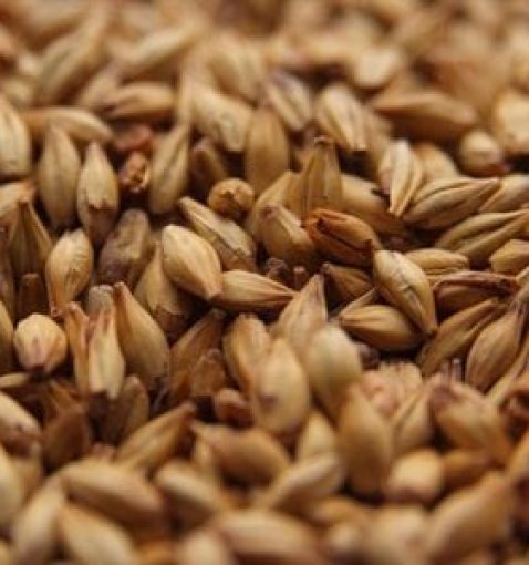 Cara Ruby malt (Karamelmalt) 50 EBC