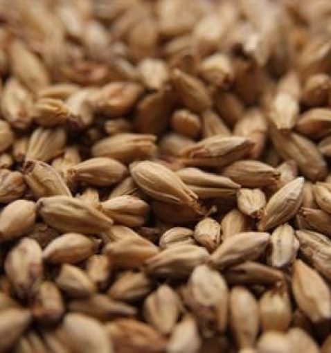 Melano malt EBC 80